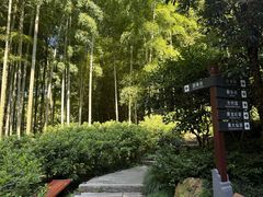 -杭州黄龙洞