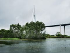 -芒洲湿地公园