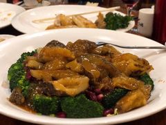 -顺德了能馆(虎门店)