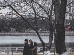 -西北湖绿化广场