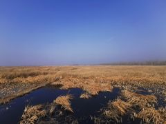 -野鸭湖国家湿地公园