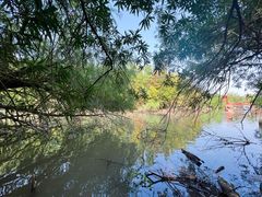 -上海吴淞炮台湾国家湿地公园