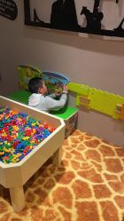 -卡通尼·Safari非洲探索乐园·生日会(金桥国际商业广场店)