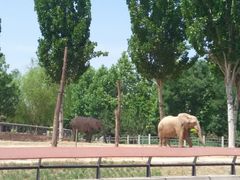 -石家庄市动物园