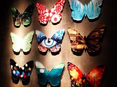 iphone_upload_pic-蝴蝶汇音乐酒馆(罗湖店)