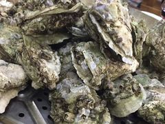 -蚝得喜海鲜(东城店)