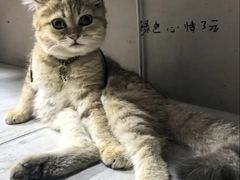 -鲍师傅糕点(海陵北路店)