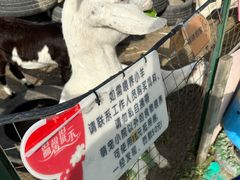 -菊园百果园