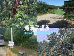 -东山风景区(洞庭东山)