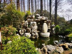 -上海醉白池公园