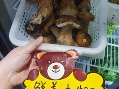 -菌之家·专业纯野生菌火锅·特色炒菌