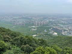 -杭州半山国家森林公园