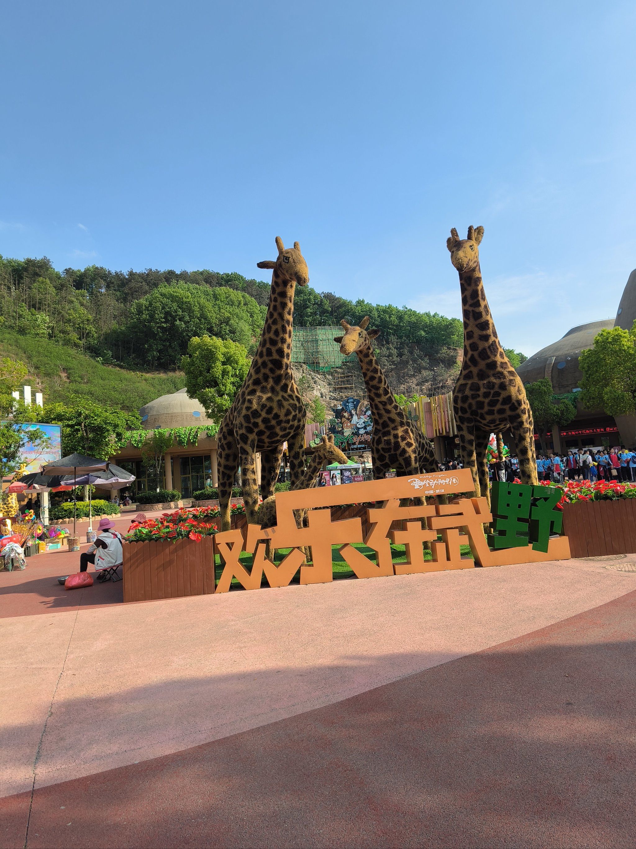 与动物朋友们的邂逅