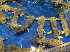 -三亚火车头万人海鲜广场