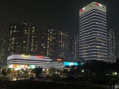 -百年果林椰子鸡(中洲店)