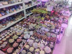 -无锡文化工艺品市场(槐古路店)