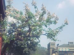 -中国宜宾·长江地标广场