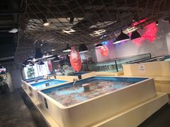 水产区-日进一片海.生腌海鲜火锅.宵夜烧烤(三里屯总店)