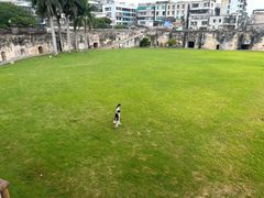 -石炮台公园