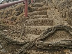 -吉林市朱雀山国家森林公园