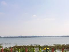 -七的湖·晚芳亭·阳澄湖农家菜·大闸蟹(莲花岛店)