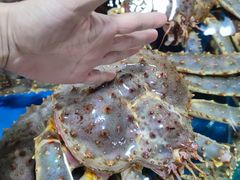 -北海港酒楼 海鲜代加工 粤菜(淡村商贸城店)