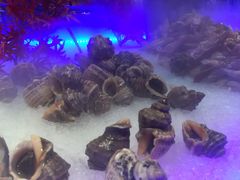 -韩京炭火烤肉自助料理(柯桥万达店)