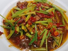 -幸福的烤包子·新疆菜