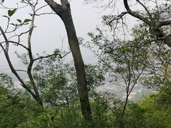 -紫金山山顶公园