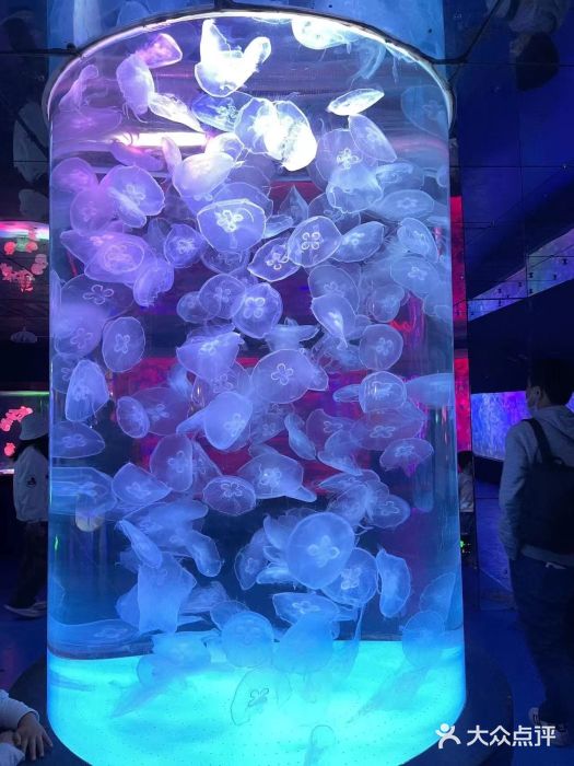 左海海底世界图片