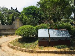 -雨花胜境