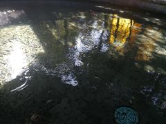 -杭州第一世界大酒店·云曼温泉