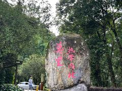 -莫里热带雨林景区