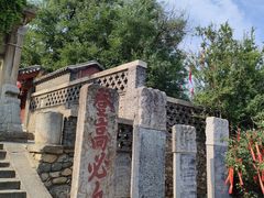 -泰山风景名胜区