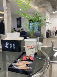 -蚂蚁造型俱乐部