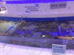 -澜悦港海鲜体验主题餐厅