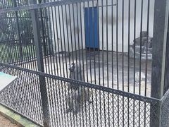 -广东茂名森林公园