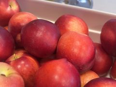 -蒙都43°9羊火锅·赤峰美食(宁城店)