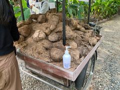 -大象粑粑造纸公园