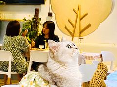 -小时光咖啡馆(北锣鼓巷店)