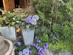 -田园印象·成都土菜院子(华阳店)