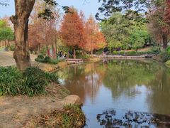 -中山市树木园