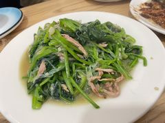 肉炒菠菜粉丝-九龙餐厅(大沽路店)