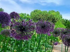 -国家植物园南园