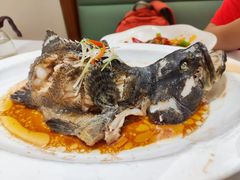 干烧石斑鱼-北塘海鲜·天津菜(大光明桥旗舰店)