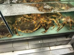 -盒马鲜生(大成店)