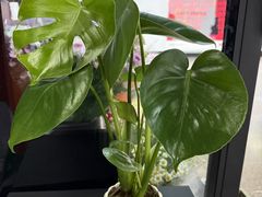 -大望路(地铁站)