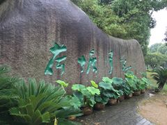 -荷塘月色湿地公园·向阳花洲