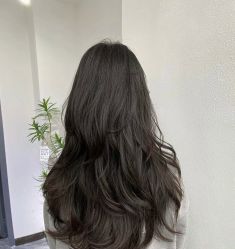 -丽时 Hair Salon