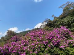 -广州市石门国家森林公园
